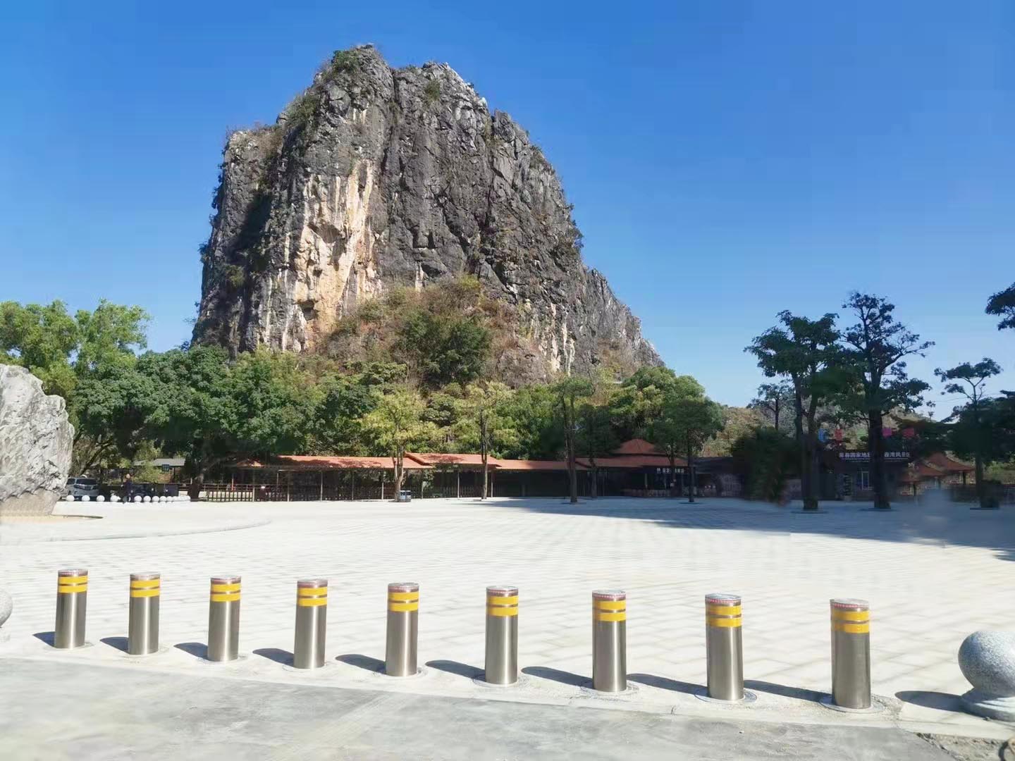广东省阳江阳春案例