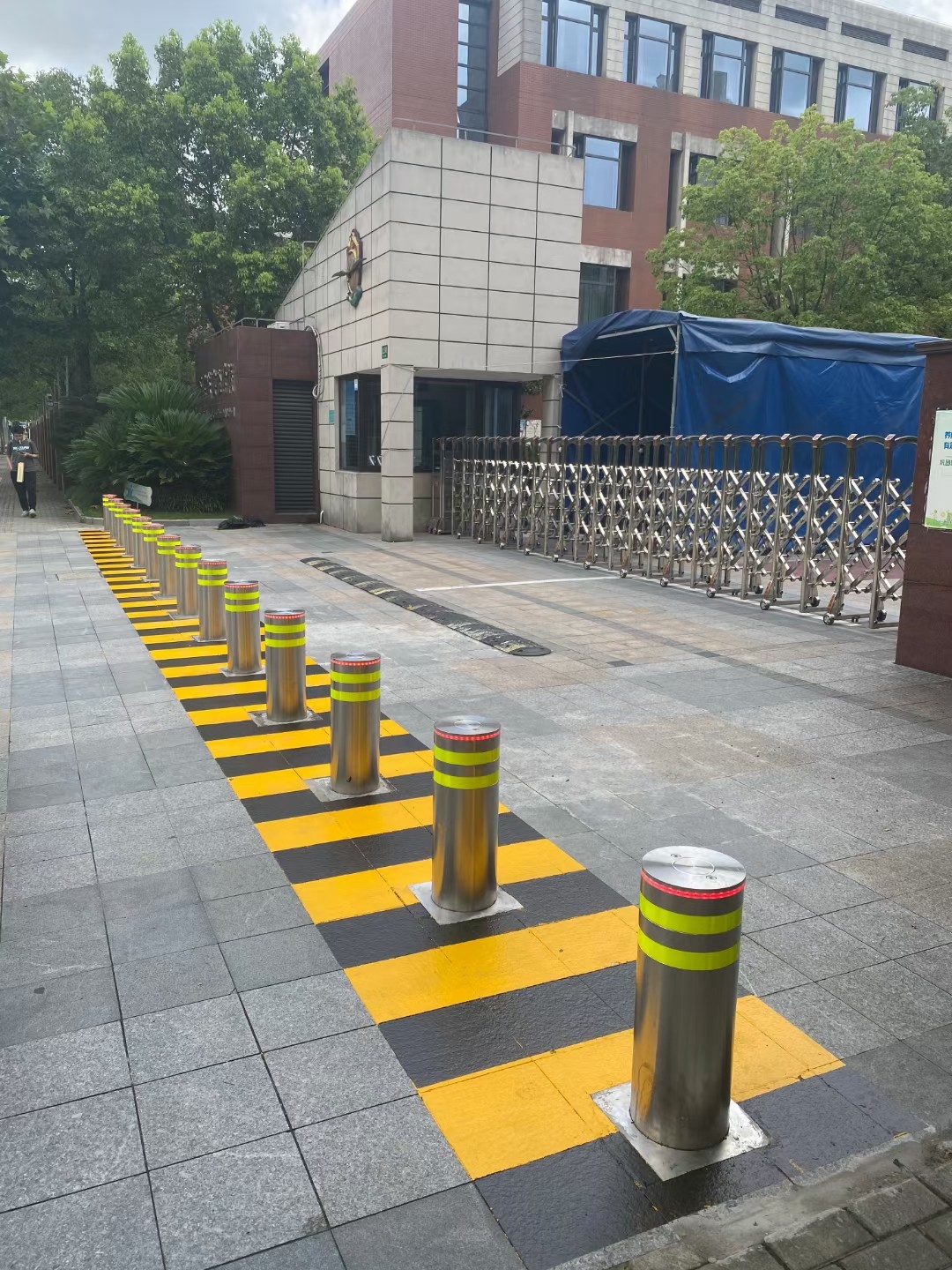 浙江   学校
