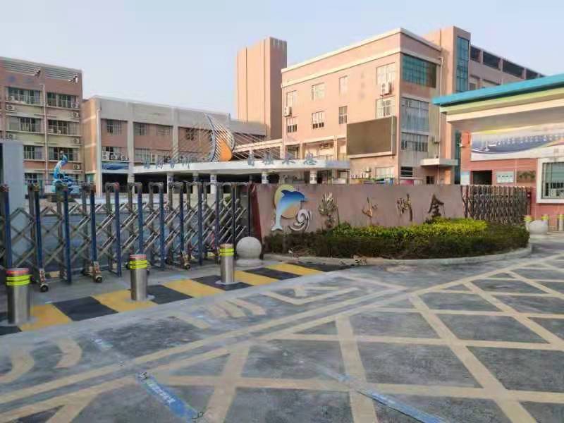 金洲小学